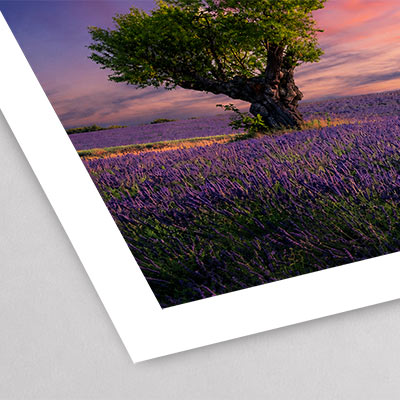 Trama Carta fotografica