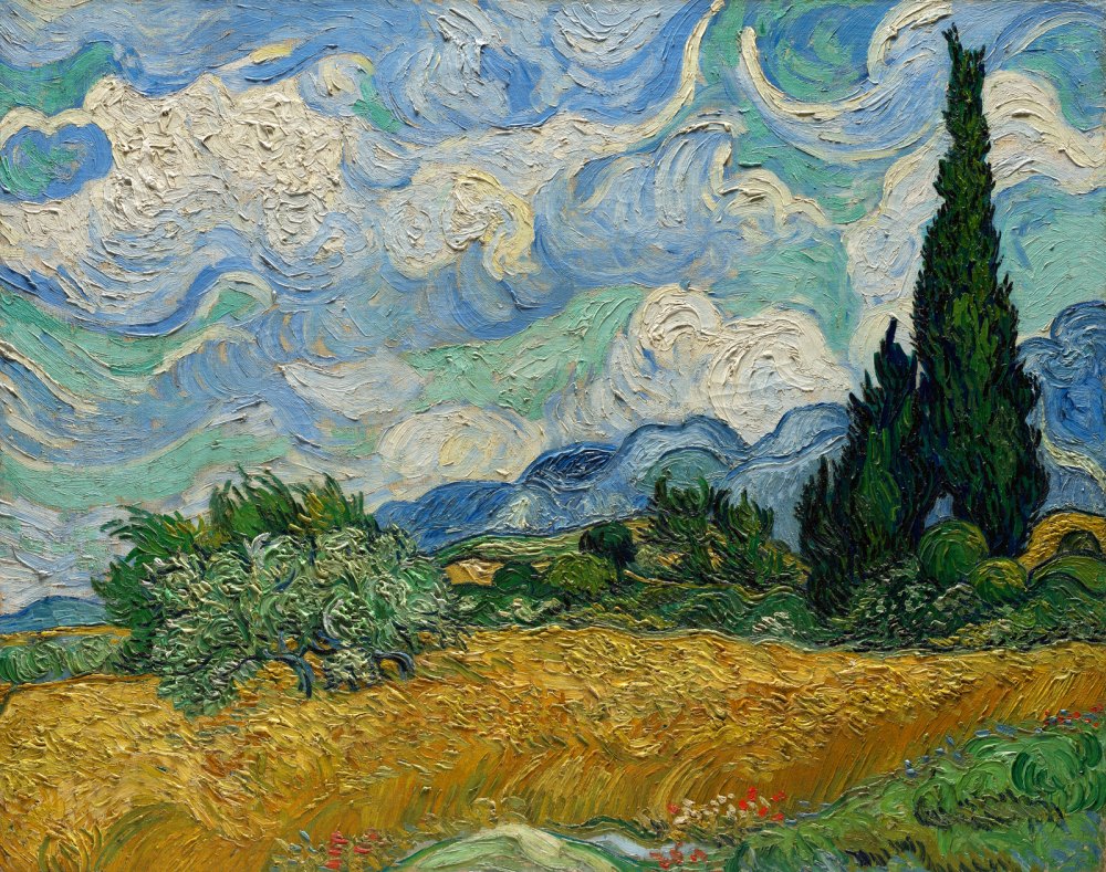 Campo di Grano con Cipressi