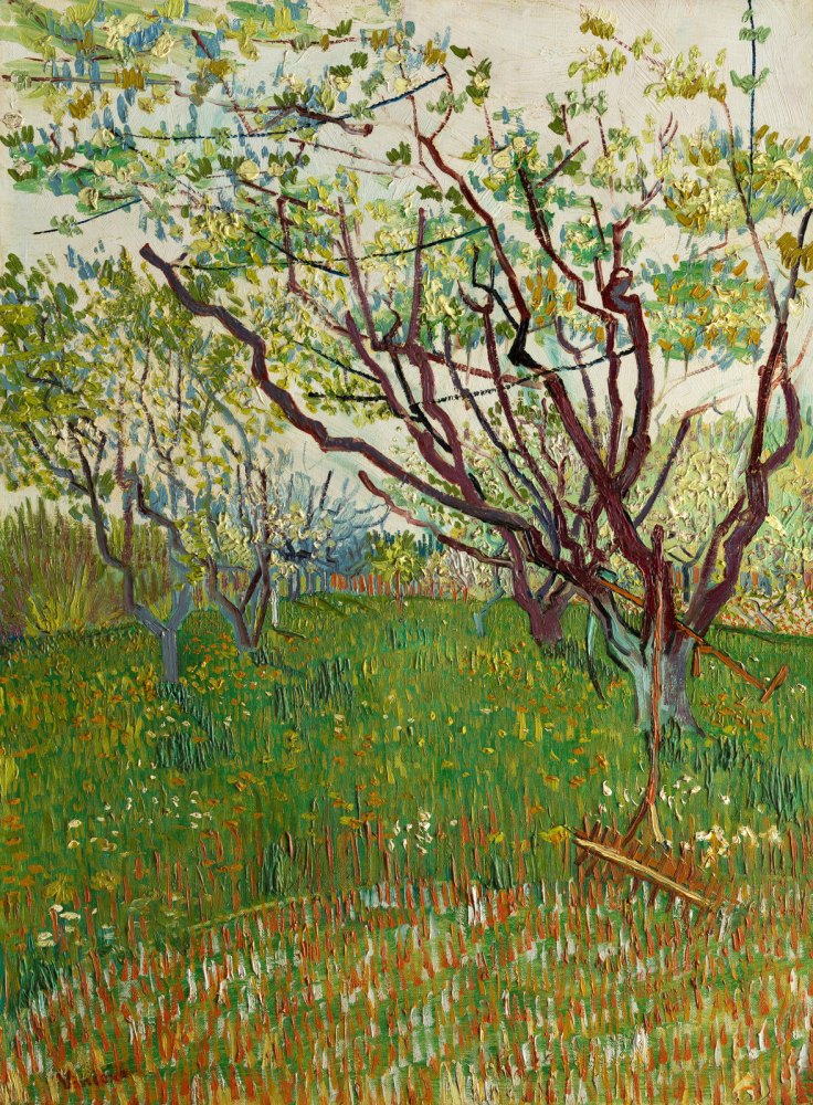 Frutteto in Fiore
