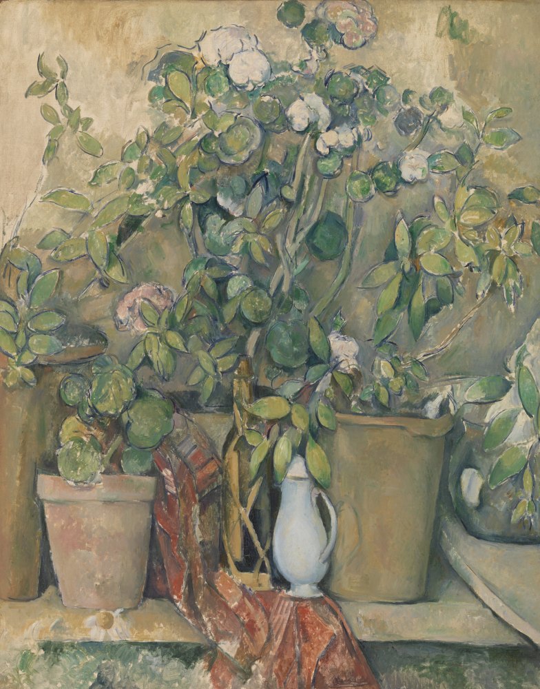 Vasi in Terracotta e Fiori