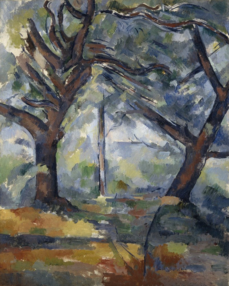 I Grandi Alberi
