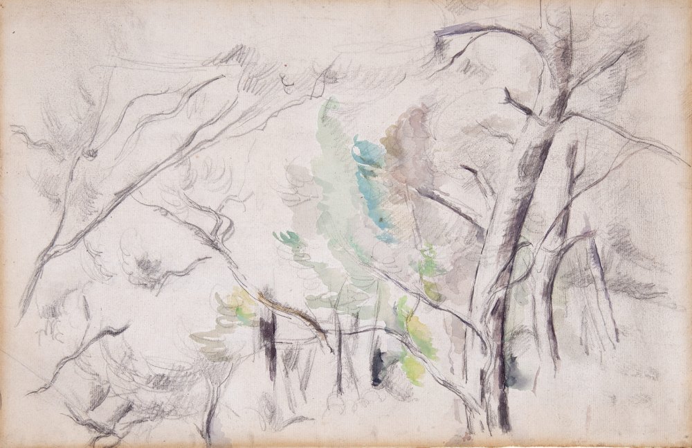 Alberi