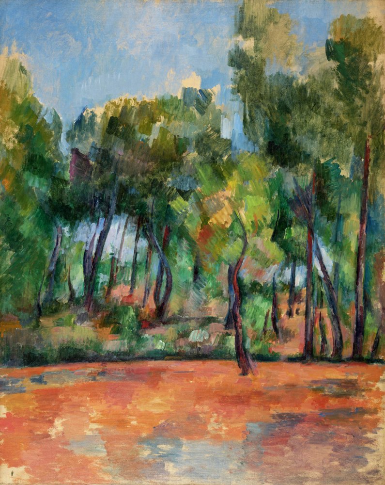 Paesaggio Provenzale