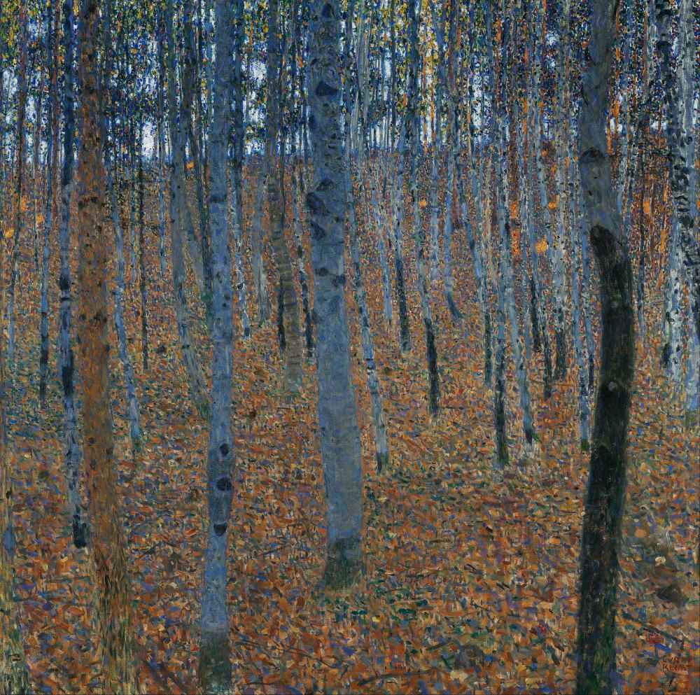 Bosco di Faggi i