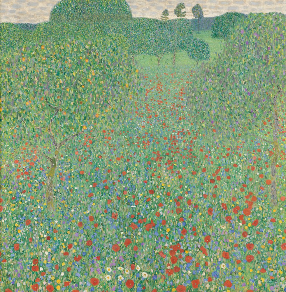 Campo di Papaveri
