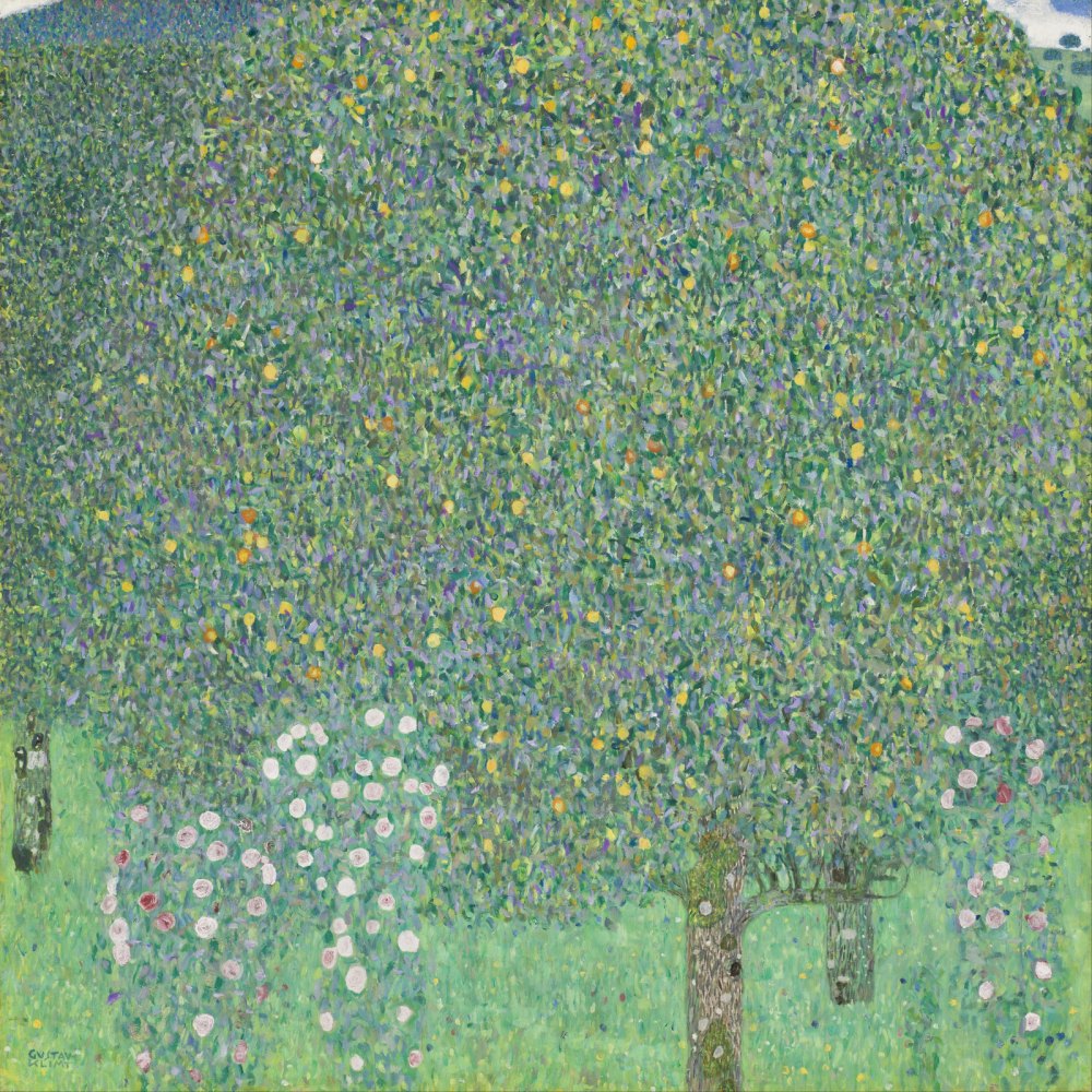 Rose Sotto gli Alberi