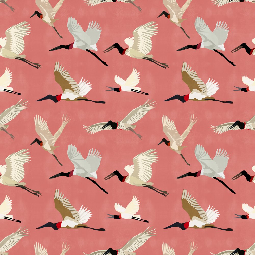Uccello Cicogna Jabiru Rosa