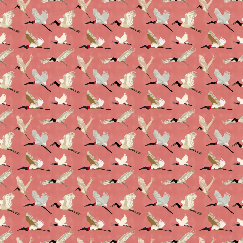 Uccello Cicogna Jabiru Rosa