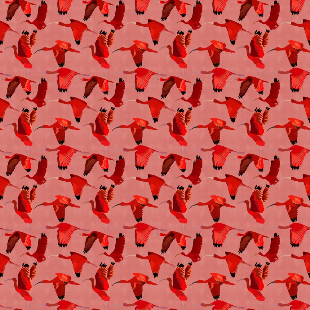 Uccello Ibis Scarlatto Rosa