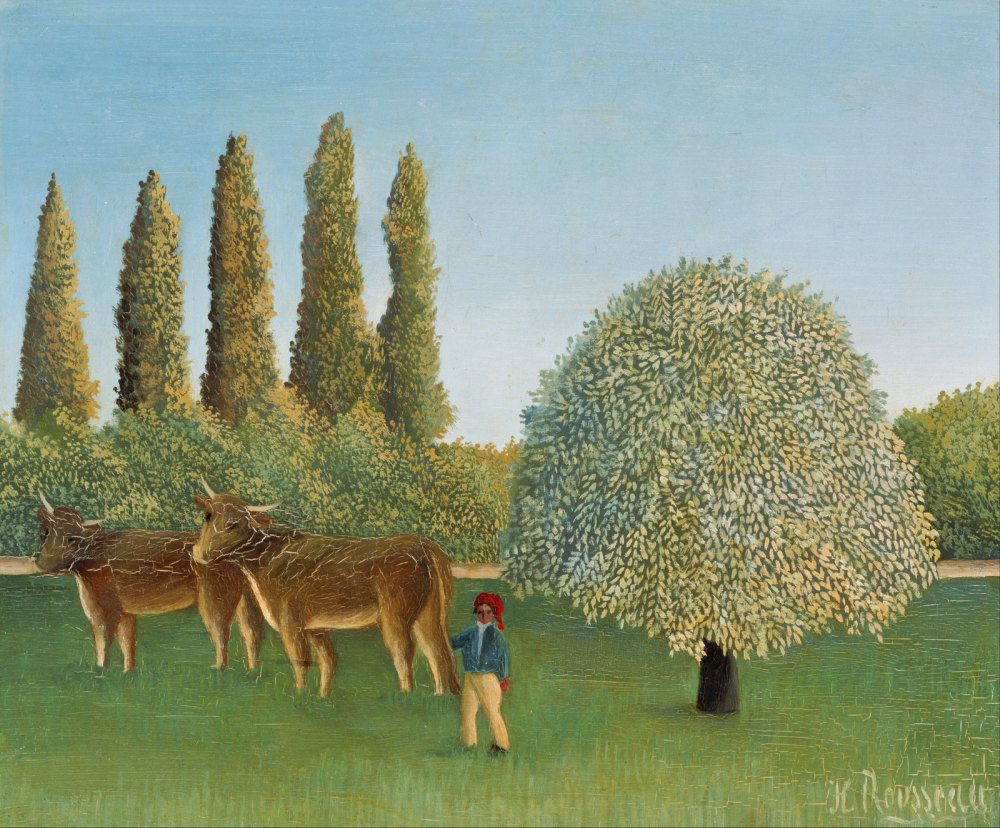 Prateria (il Pascolo)