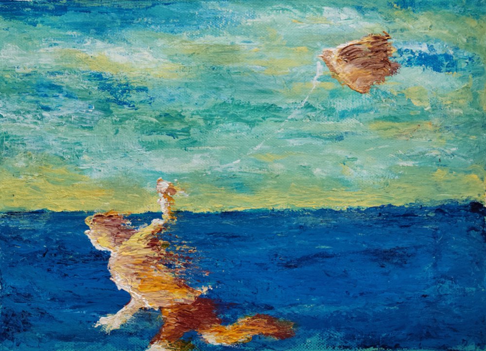 Il Bambino e l'aquilone