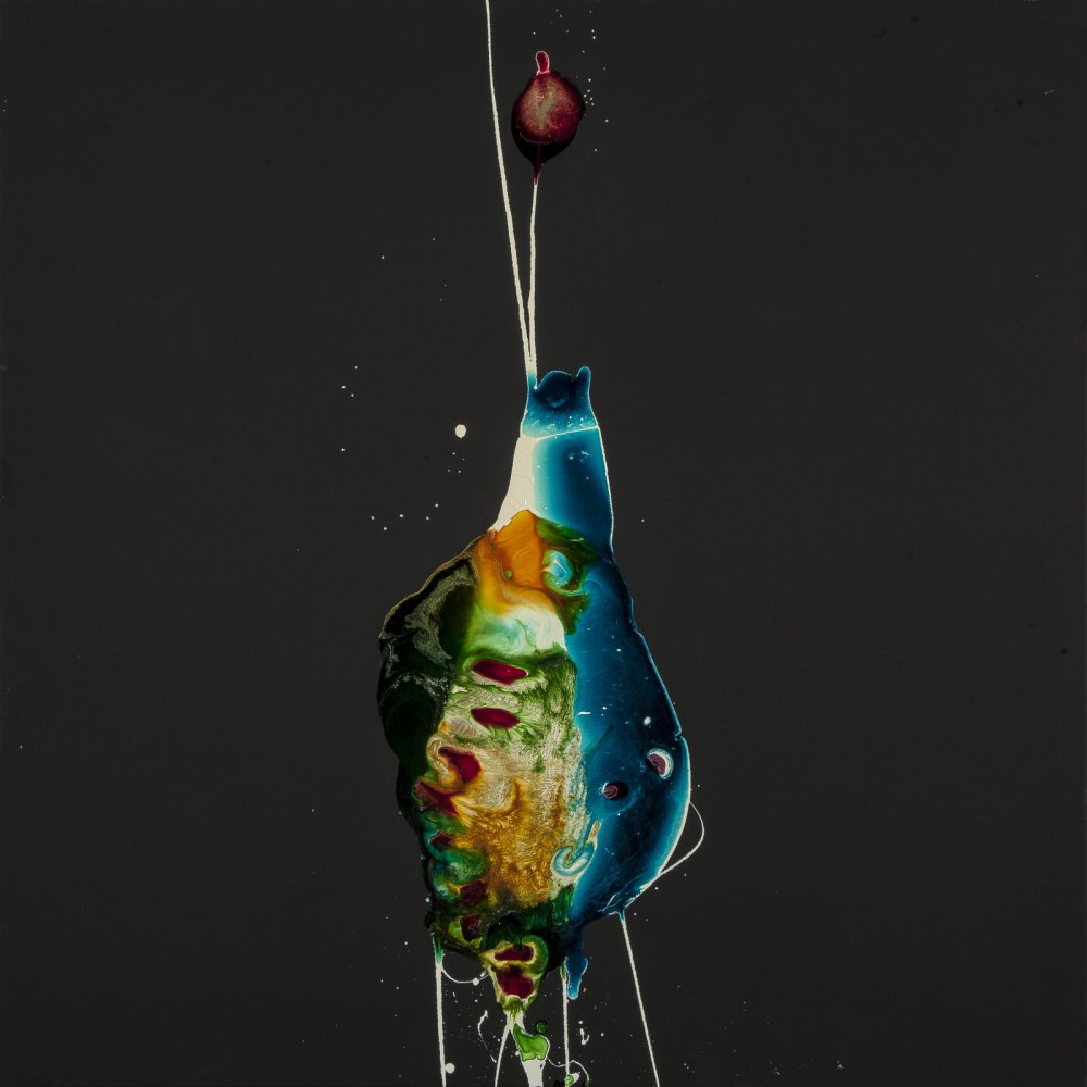 Jellyfish