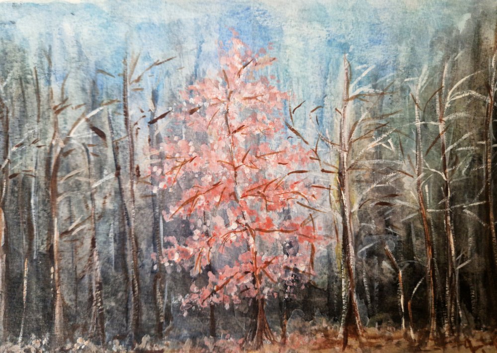 Foresta Incantata